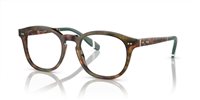 Gafas Polo  PH2267 5017