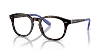 Gafas Polo  PH2267 6145