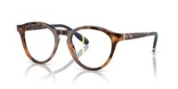 Gafas Polo  PH2268 5303