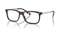 Gafas Polo  PH2273 5003