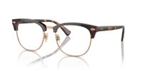 Gafas Polo  PH2277 6137