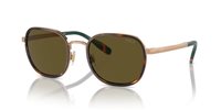 Gafas Polo  PH3151 944973
