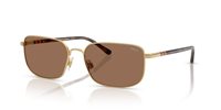 Gafas Polo  PH3159 947773