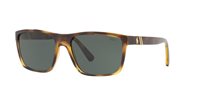 Gafas Polo  PH4133 500371