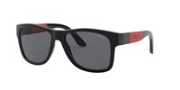 Gafas Polo  PH4162 500187