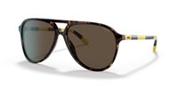 Gafas Polo  PH4173 500373