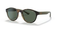 Gafas Polo  PH4176 500371