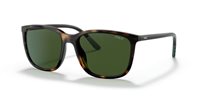 Gafas Polo  PH4185U 500371