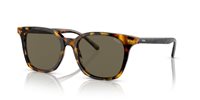 Gafas Polo  PH4187 5309/3