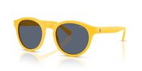 Gafas Polo  PH4192 542087