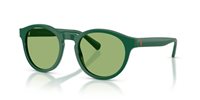 Gafas Polo  PH4192 6141/2