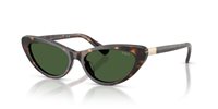 Gafas Polo  PH4199U 500371