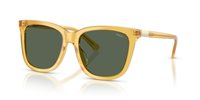 Gafas Polo  PH4201U 500571