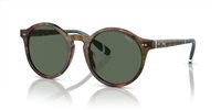 Gafas Polo  PH4204U 501771