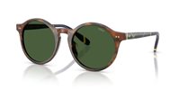 Gafas Polo  PH4204U 562571