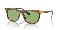 Gafas Polo  PH4205U 6089/2
