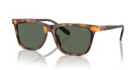 Gafas Polo  PH4205U 608971