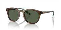 Gafas Polo  PH4206 50179A