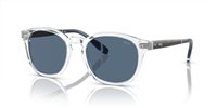Gafas Polo  PH4206 533180