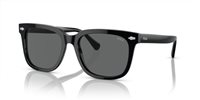 Gafas Polo  PH4210 500187