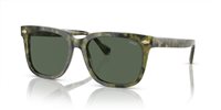 Gafas Polo  PH4210 543671