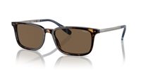Gafas Polo  PH4212 500373