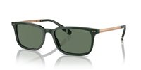 Gafas Polo  PH4212 614071