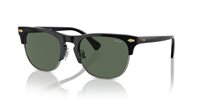 Gafas Polo  PH4213 500187