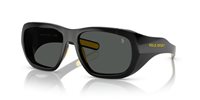 Gafas Polo  PH4219U 500187