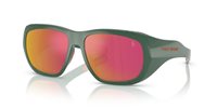 Gafas Polo  PH4219U 55966Q