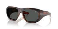 Gafas Polo  PH4219U 597487