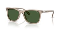 Gafas Polo  PH4220U 620171