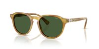 Gafas Polo  PH4221 618571