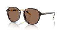 Gafas Polo  PH4223U 500373