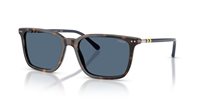 Gafas Polo  PH4226 500380