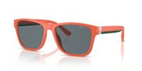 Gafas Polo  PH4229U 54606G