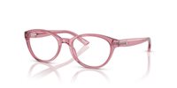 Gafas Polo Prep  PP8526 5220
