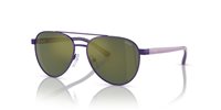 Gafas Polo Prep  PP9001 94596R
