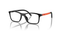 Gafas Polo Prep  PP9506U 610080