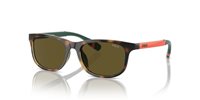 Gafas Polo Prep  PP9507U 500373