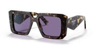 Gafas de sol Prada  PR 23YS 2AU05Q