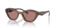 Gafas Prada  PR A02S 17O60B