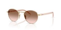 Gafas PRADA  PR B52S ZVN0A6