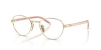 Gafas PRADA  PR B53V ACX1O1