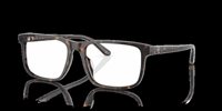 Gafas Ralph Lauren  RL6225U 5003