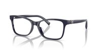 Gafas Ralph Lauren  RL6233U 5663