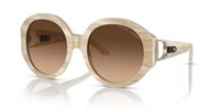 Gafas de sol Ralph Lauren  RL8188Q 608474