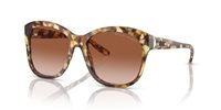 Gafas Ralph Lauren  RL8190Q 605613