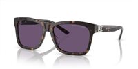 Gafas Ralph Lauren  RL8203QU 50031A