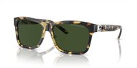 Gafas Ralph Lauren  RL8203QU 500471